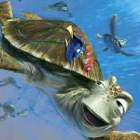/album/yezikpao/imagenes-dibujos-animados-buscando-nemo-p-jpg/